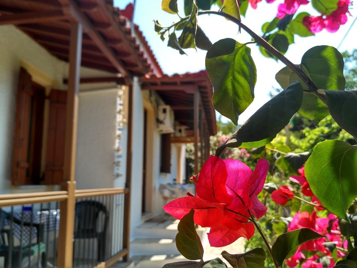 فندق سكوبيلوس تاونفي  Kyriaki المظهر الخارجي الصورة